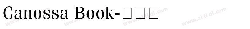 Canossa Book字体转换
